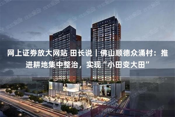 网上证劵放大网站 田长说|佛山顺德众涌村:推进耕地集中整治,实现“小田变大田”