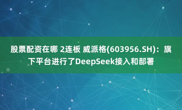 股票配资在哪 2连板 威派格(603956.SH):旗下平台进行了DeepSeek接入和部署