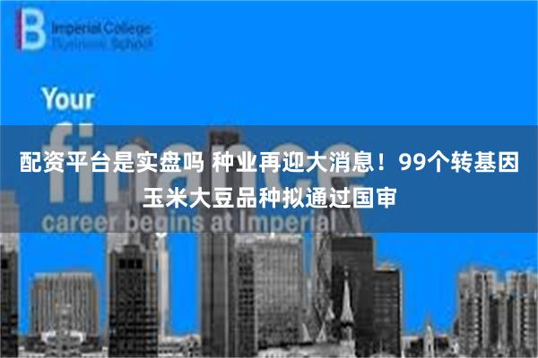 配资平台是实盘吗 种业再迎大消息！99个转基因玉米大豆品种拟通过国审