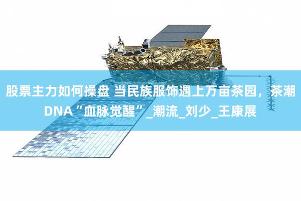 股票主力如何操盘 当民族服饰遇上万亩茶园，茶潮DNA“血脉觉醒”_潮流_刘少_王康展