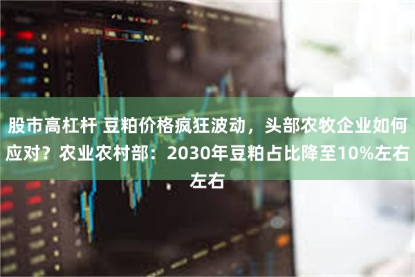 股市高杠杆 豆粕价格疯狂波动，头部农牧企业如何应对？农业农村部：2030年豆粕占比降至10%左右