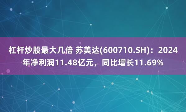 杠杆炒股最大几倍 苏美达(600710.SH):2024年净利润11.48亿元,同比增长11.69%