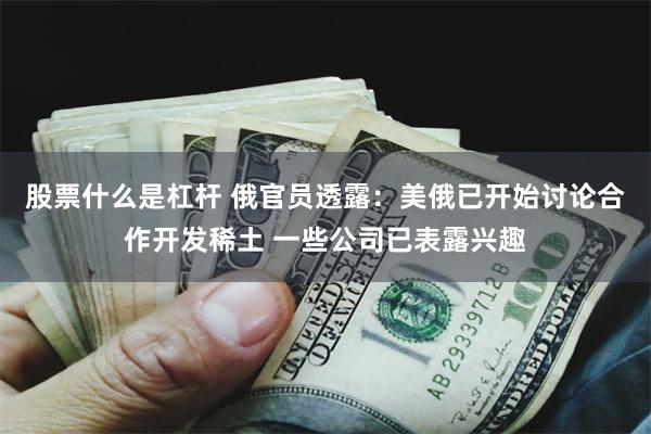 股票什么是杠杆 俄官员透露:美俄已开始讨论合作开发稀土 一些公司已表露兴趣
