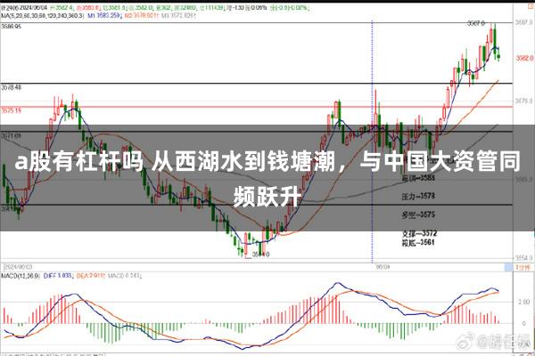a股有杠杆吗 从西湖水到钱塘潮，与中国大资管同频跃升
