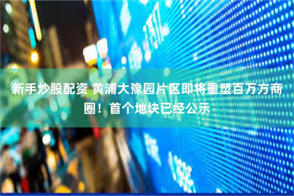 新手炒股配资 黄浦大豫园片区即将重塑百万方商圈!首个地块已经公示