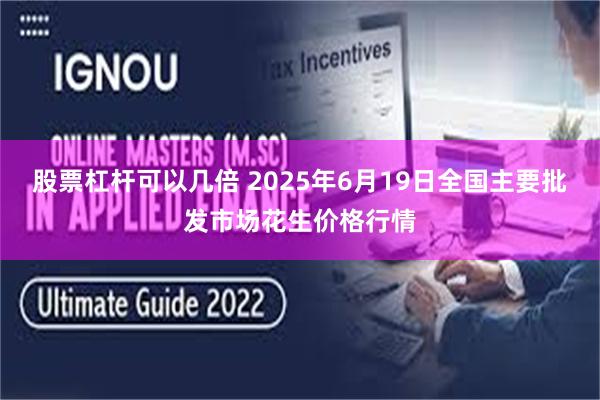 股票杠杆可以几倍 2025年6月19日全国主要批发市场花生价格行情
