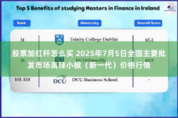 股票加杠杆怎么买 2025年7月5日全国主要批发市场高辣小椒（新一代）价格行情