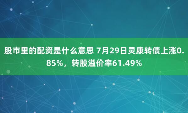 股市里的配资是什么意思 7月29日灵康转债上涨0.85%,转股溢价率61.49%