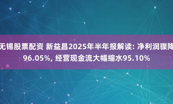 无锡股票配资 新益昌2025年半年报解读: 净利润骤降96.05%, 经营现金流大幅缩水95.10%