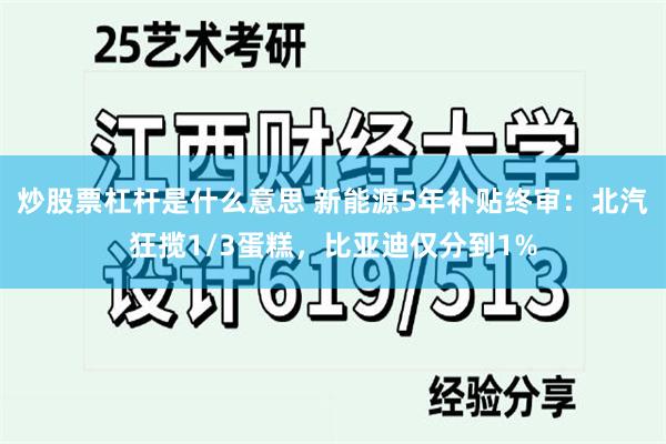 炒股票杠杆是什么意思 新能源5年补贴终审：北汽狂揽1/3蛋糕，比亚迪仅分到1%