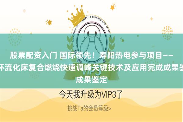 股票配资入门 国际领先!寿阳热电参与项目——循环流化床复合燃烧快速调峰关键技术及应用完成成果鉴定