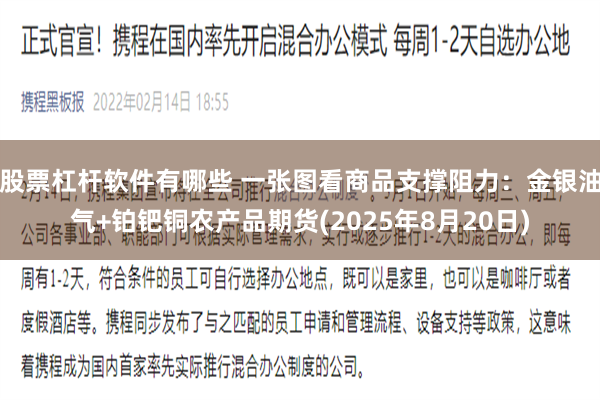 股票杠杆软件有哪些 一张图看商品支撑阻力：金银油气+铂钯铜农产品期货(2025年8月20日)