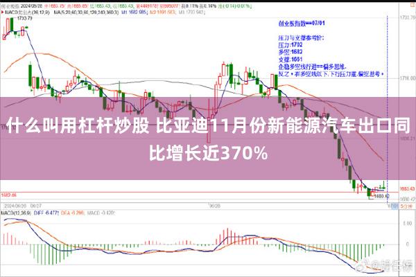 什么叫用杠杆炒股 比亚迪11月份新能源汽车出口同比增长近370%