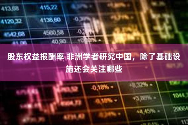 股东权益报酬率 非洲学者研究中国，除了基础设施还会关注哪些