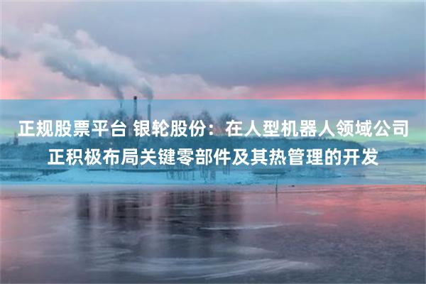 正规股票平台 银轮股份：在人型机器人领域公司正积极布局关键零部件及其热管理的开发