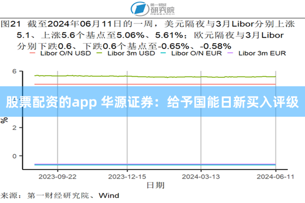 股票配资的app 华源证券：给予国能日新买入评级